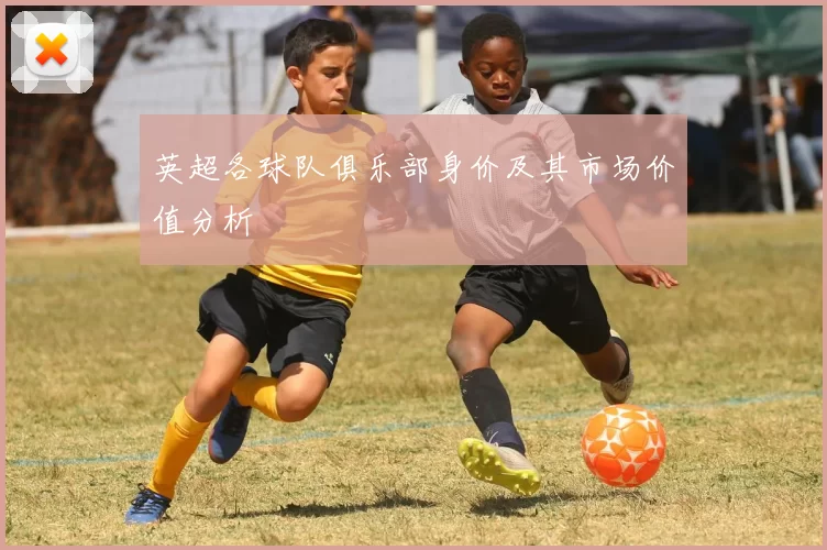 英超各球队俱乐部身价及其市场价值分析