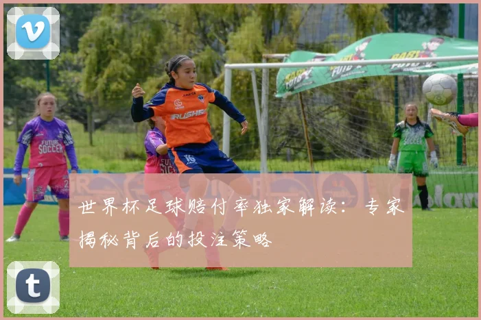 世界杯足球赔付率独家解读:专家揭秘背后的投注策略