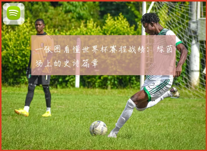 一张图看懂世界杯赛程战绩：绿茵场上的史诗篇章