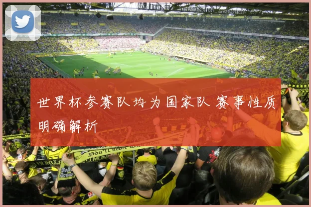 世界杯参赛队均为国家队 赛事性质明确解析