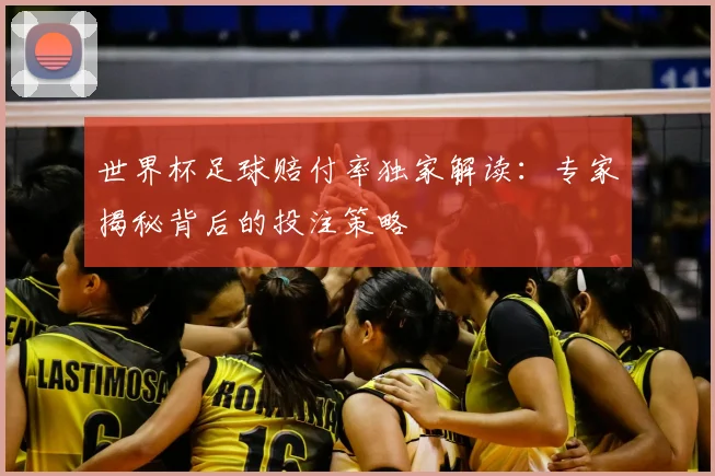 世界杯足球赔付率独家解读:专家揭秘背后的投注策略