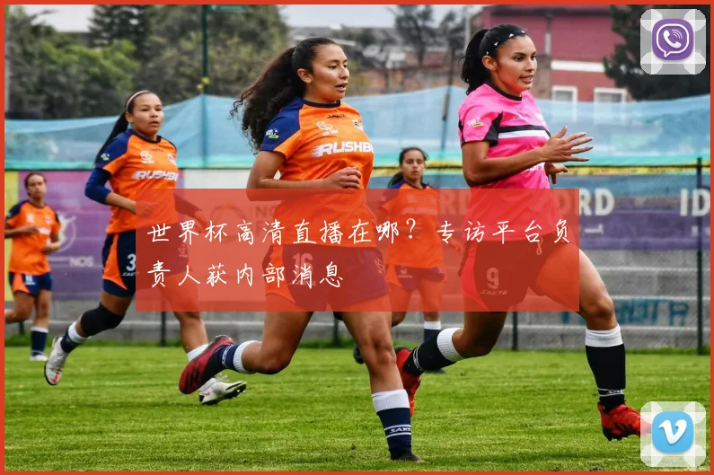 世界杯高清直播在哪？专访平台负责人获内部消息