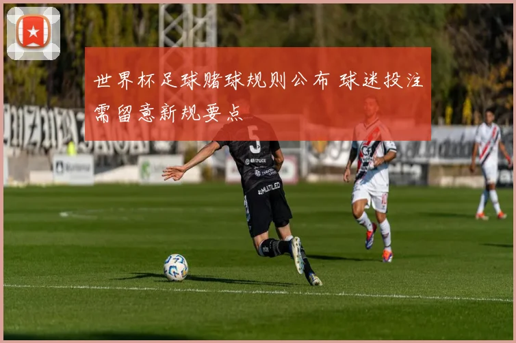 世界杯足球赌球规则公布 球迷投注需留意新规要点