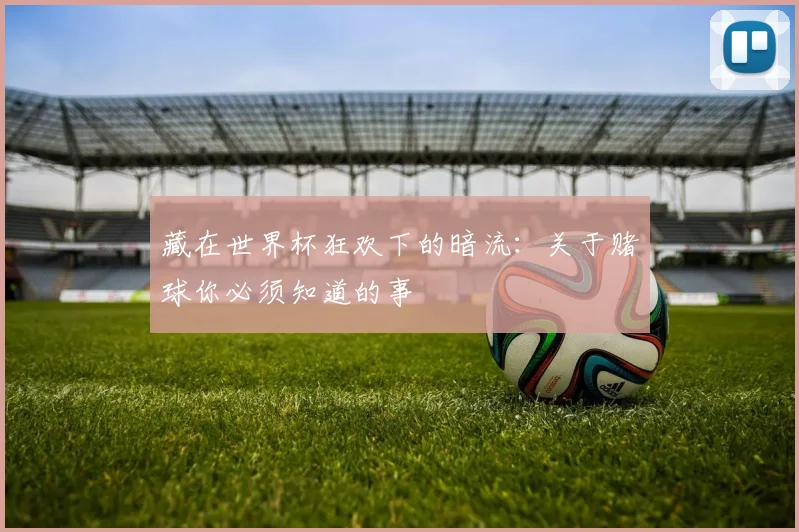 藏在世界杯狂欢下的暗流：关于赌球你必须知道的事