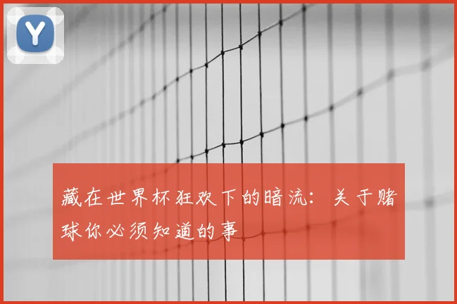 藏在世界杯狂欢下的暗流：关于赌球你必须知道的事