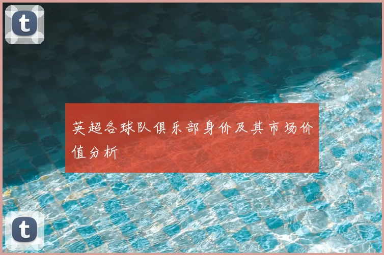 英超各球队俱乐部身价及其市场价值分析