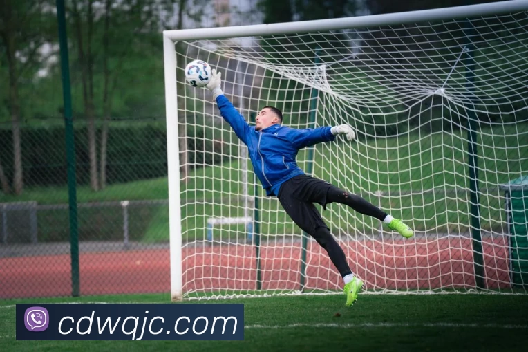 App Interface Preview